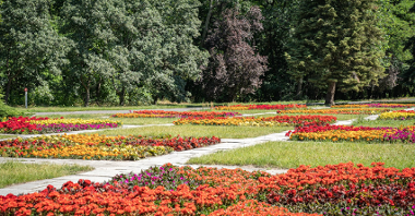 Największa poznańska enklawa zieleni- Park Cytadela